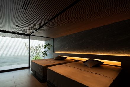Stealth House