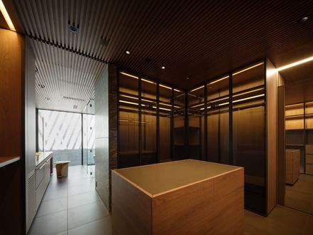 Stealth House
