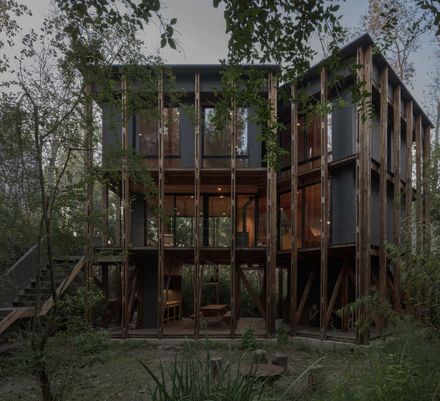 Cabin In The Buenos Aires Delta