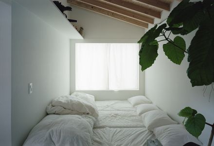 Overlap House