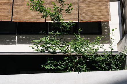 House Mokusei