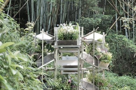 Flower Room