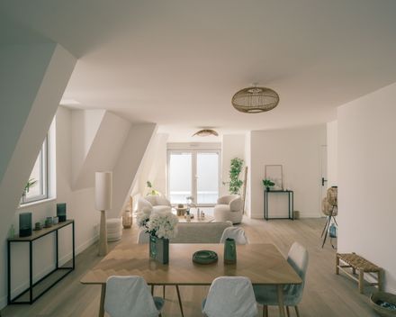 19 Collective Housing Units