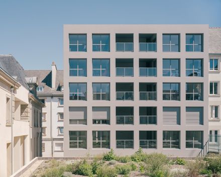 19 Collective Housing Units