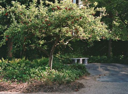 The Chapel Retold