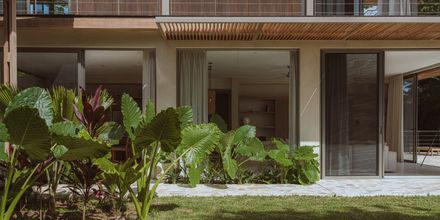 House Solomia