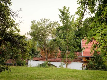 House With An Elevated Roof