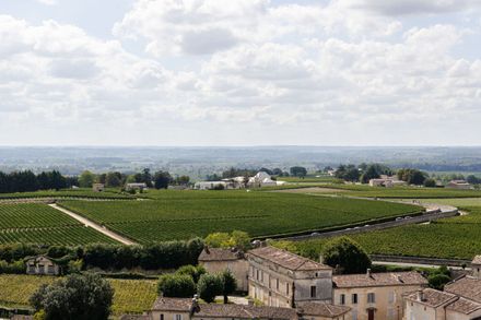 Winery Bélair-Monange