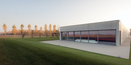 Akqa Venice