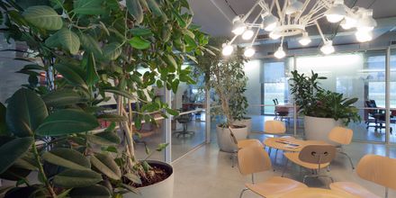 Akqa Venice