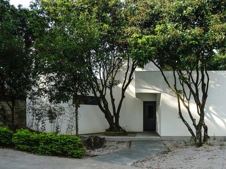 Courtyard under Longan Trees