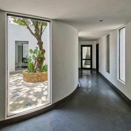 Courtyard under Longan Trees