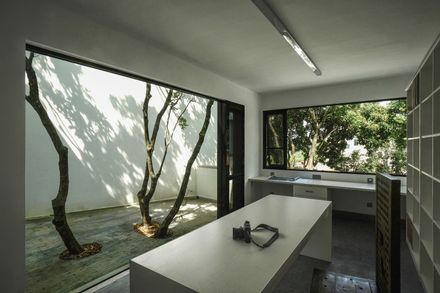 Courtyard under Longan Trees