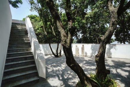 Courtyard under Longan Trees