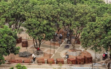 Courtyard under Longan Trees