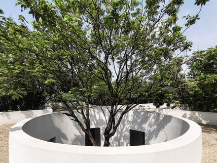 Courtyard under Longan Trees