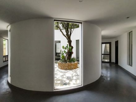 Courtyard under Longan Trees
