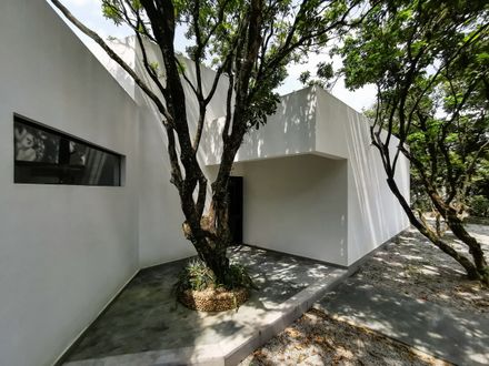 Courtyard under Longan Trees