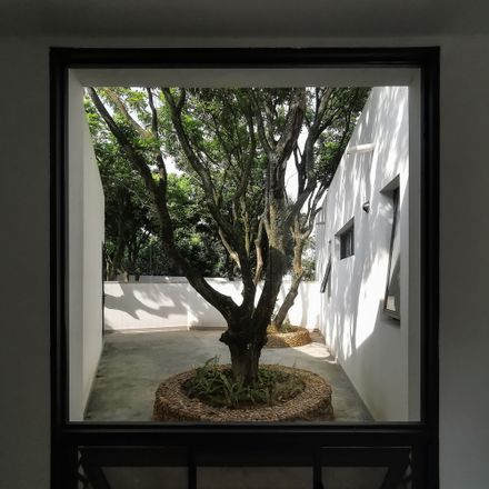 Courtyard under Longan Trees