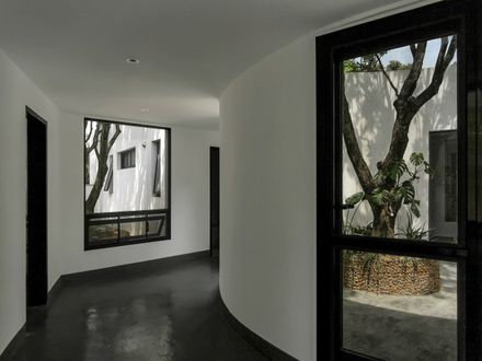 Courtyard under Longan Trees