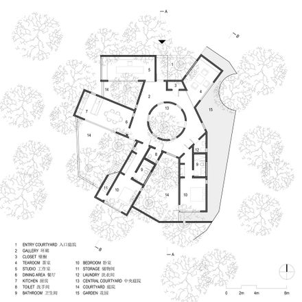 Courtyard under Longan Trees