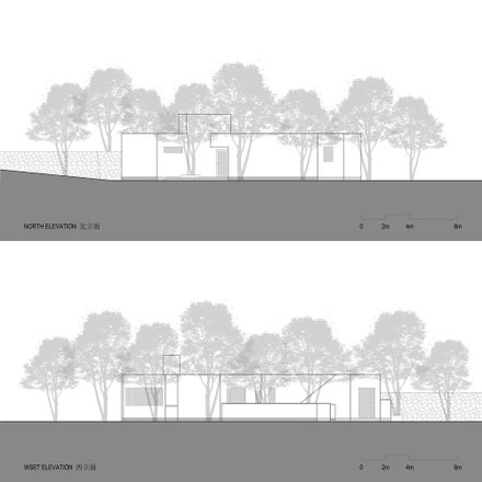 Courtyard under Longan Trees
