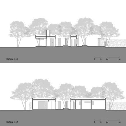 Courtyard under Longan Trees