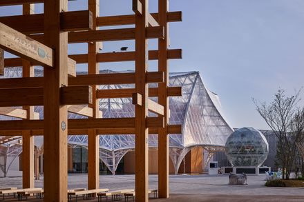 Osaka Expo 2025 Healthcare Pavilion Nest for Reborn