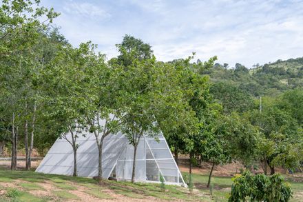 Khanong Phra Campsite