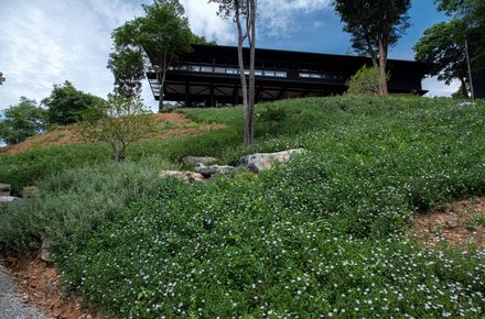 Khanong Phra Campsite