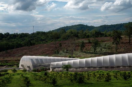 Khanong Phra Campsite