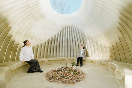 Osaka Expo 2025 Foresting Architecture Pavilion