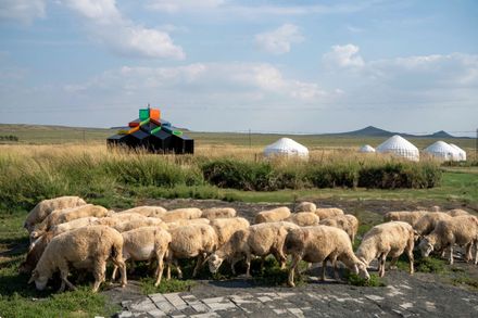 Modern Mongolian Ger Installation