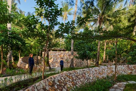 Coconut Wellness Garden