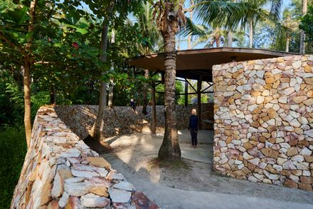 Coconut Wellness Garden
