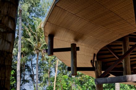 Coconut Wellness Garden