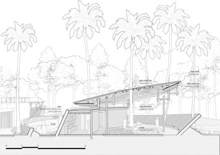 Coconut Wellness Garden