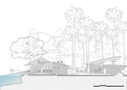 Coconut Wellness Garden