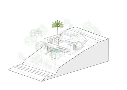 Pupunha House