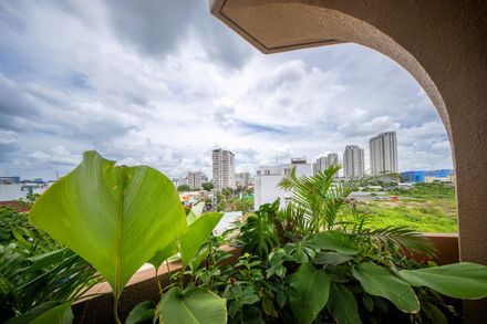 The Jungle Residence