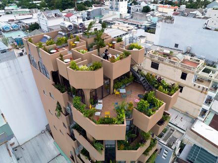 The Jungle Residence