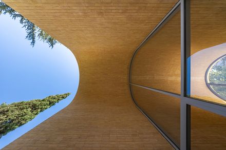 A House Looking to A Cedrus Tree