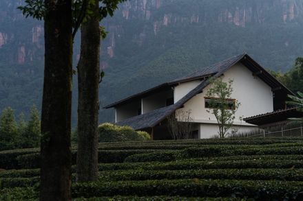 Mountain Retreat