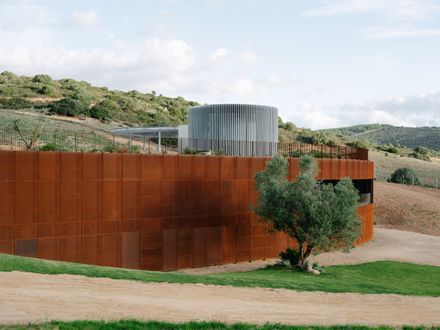 Winery Tenute Maestrale