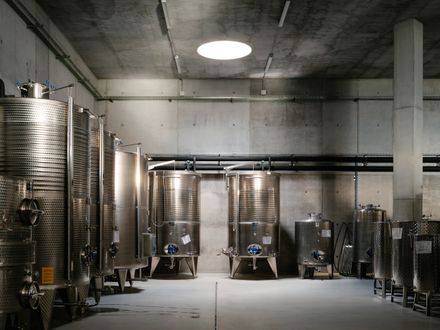 Winery Tenute Maestrale
