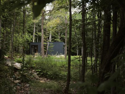 Spinone House