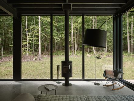 Spinone House
