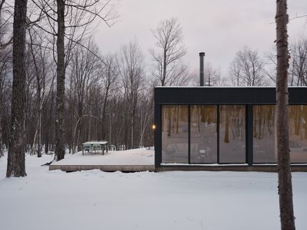 Spinone House