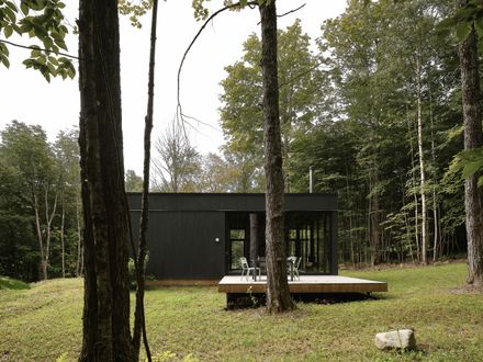 Spinone House