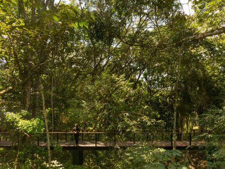 Village Trails